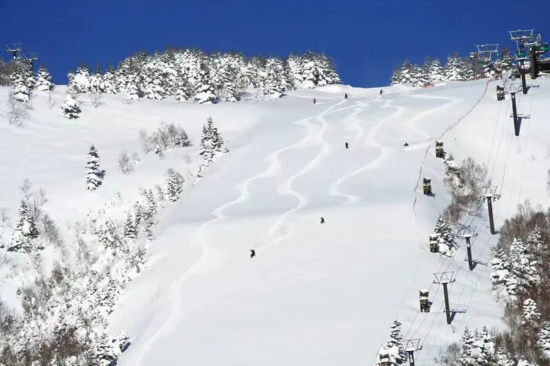 烧额山滑雪场官网有“整座山布满了‘铂金粉雪’”的介绍 图源/烧额山滑雪场官网