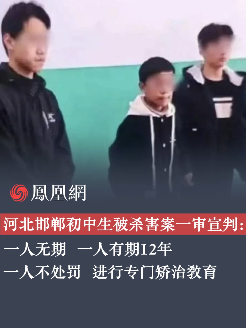 一人无期，一人有期12年！河北邯郸初中生被杀害案一审宣判#河北 #邯郸初中生 #犯罪 #未成年人 #教育