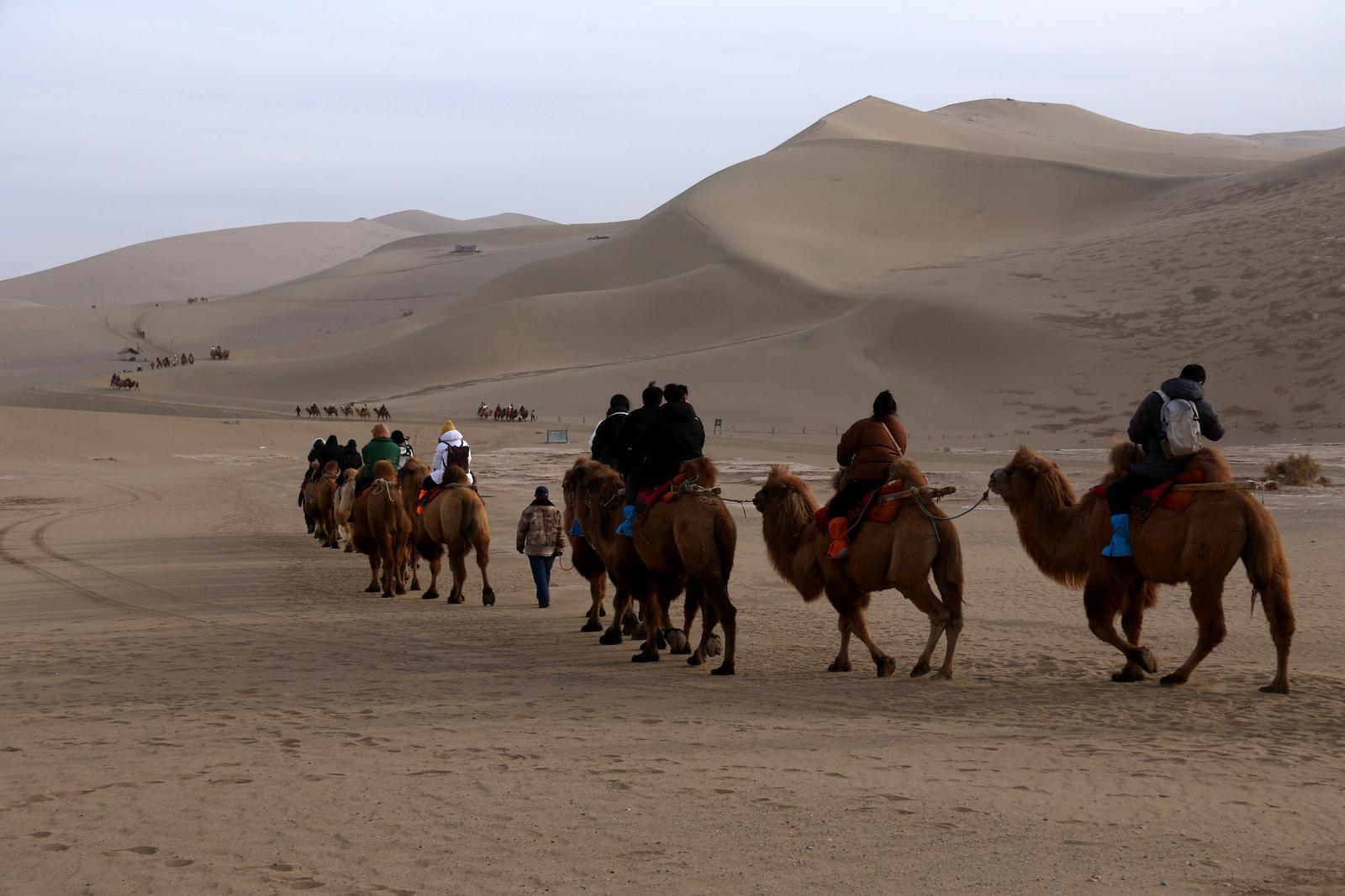 2023年12月31日，在甘肃省敦煌市鸣沙山月牙泉景区，游客乘骑骆驼从网红打卡地“骆驼红绿灯”处经过。