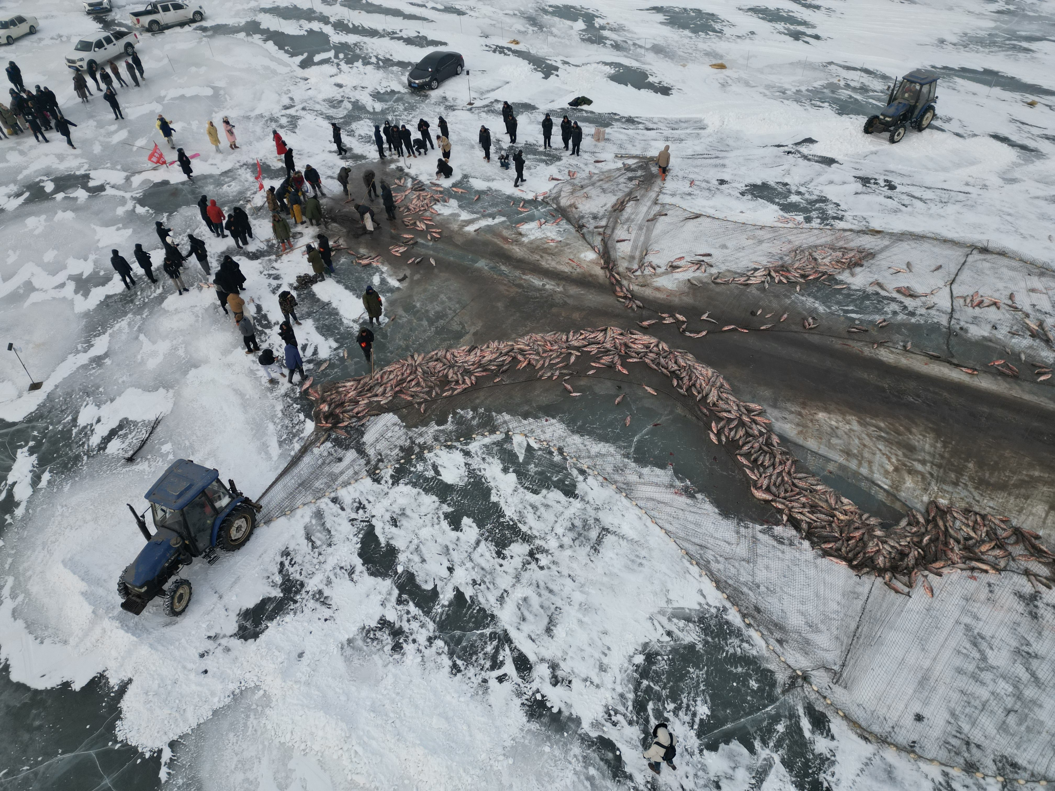 大安月亮泡冬捕启幕