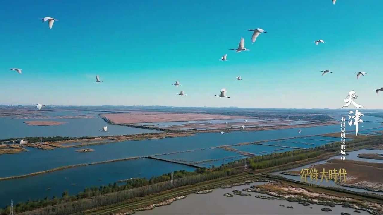 七里海湿地“十大工程”解决环境问题，守好“京津绿肺”，永续绿色发展