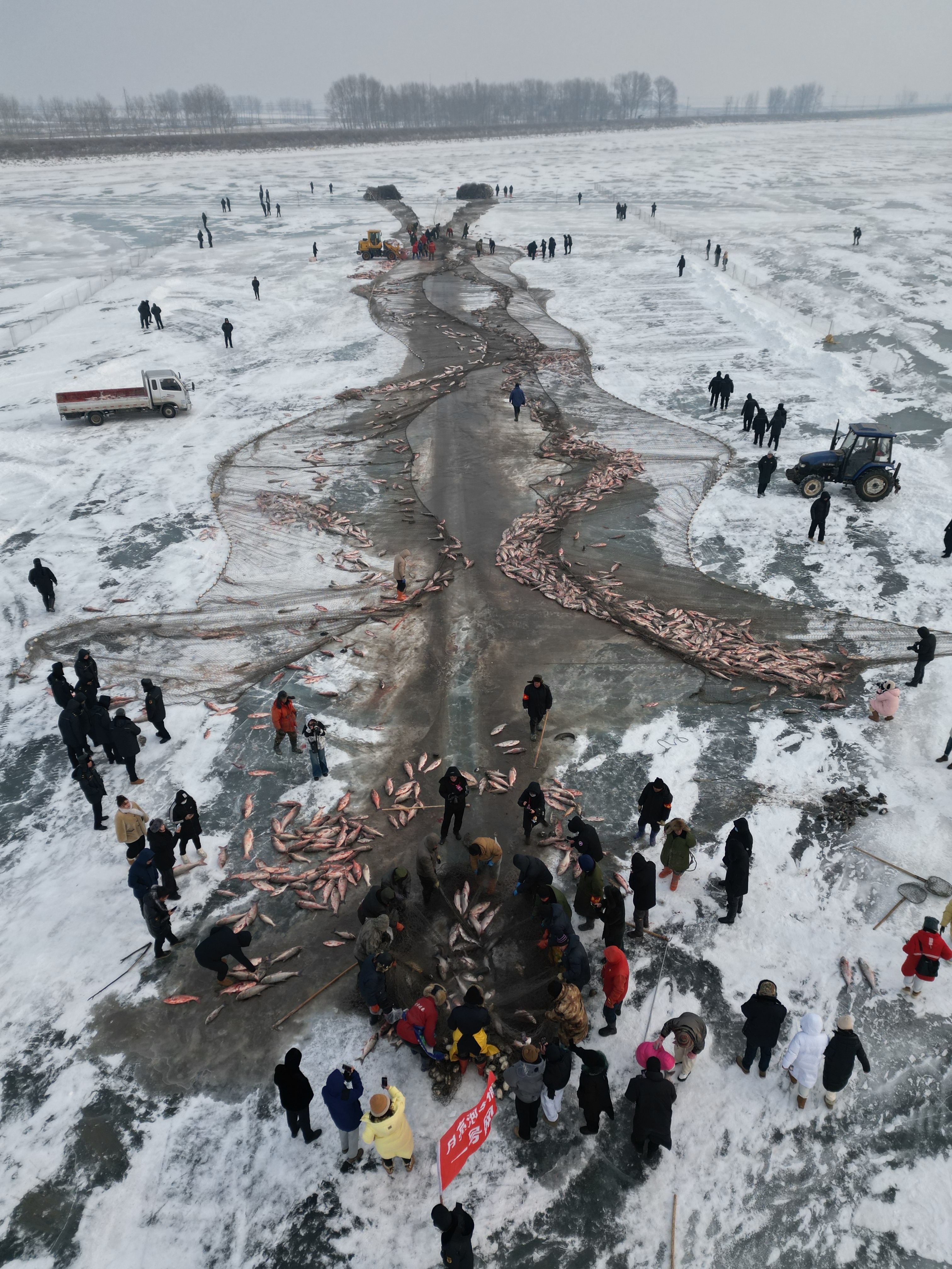 大安月亮泡冬捕启幕
