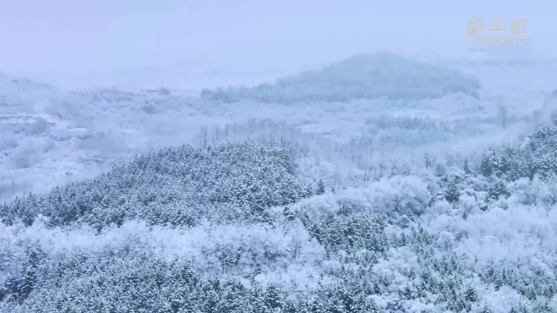 甘肃华亭：关山雪韵