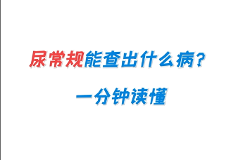 尿常规能查出什么病？一分钟读懂