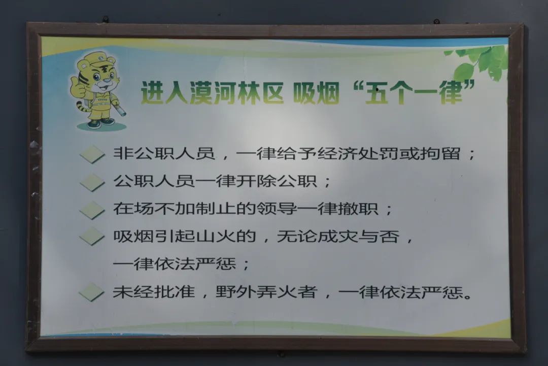 你從小就聽(tīng)說(shuō)過(guò)的漠河，原來(lái)是這樣的一座城市！