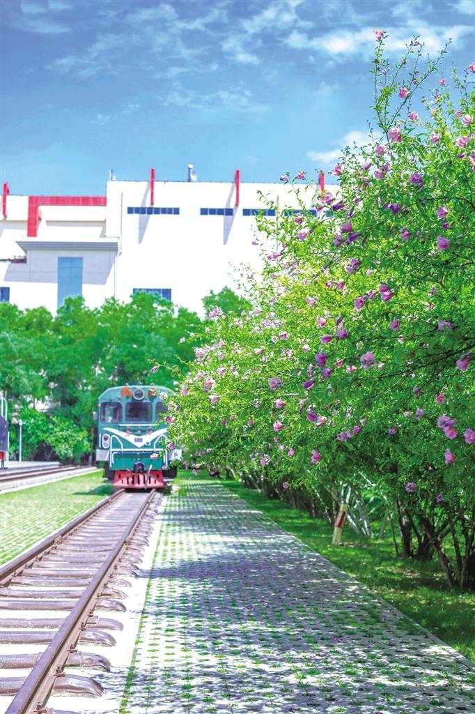 YZ　31型米轨市郊客车