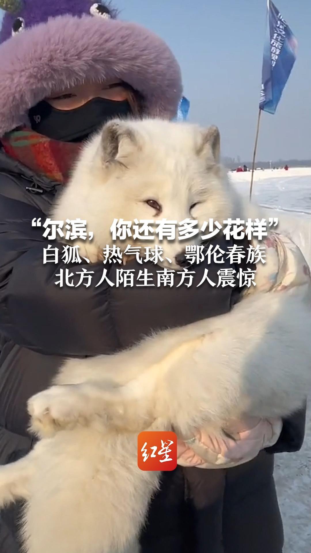 “尔滨,你还有多少花样”白狐、热气球、鄂伦春族 北方人陌生南方人震惊_凤凰网视频_凤凰网