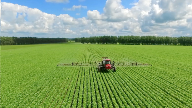 点击查看原始图片