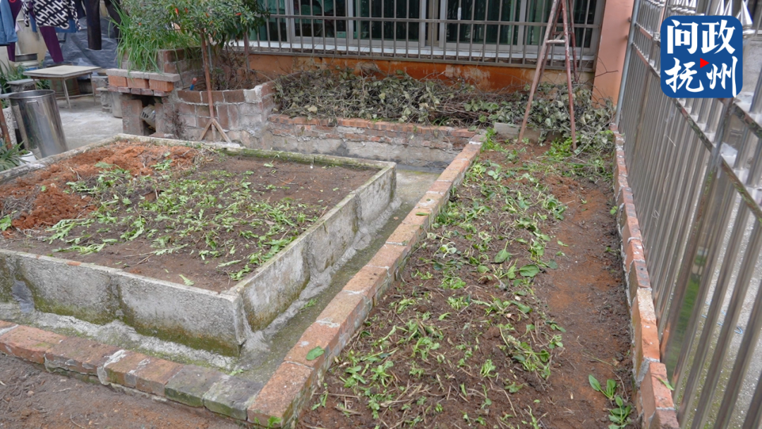 抚州翰林府邸小区一期有居民占用露天平台种菜 多部门联合整治