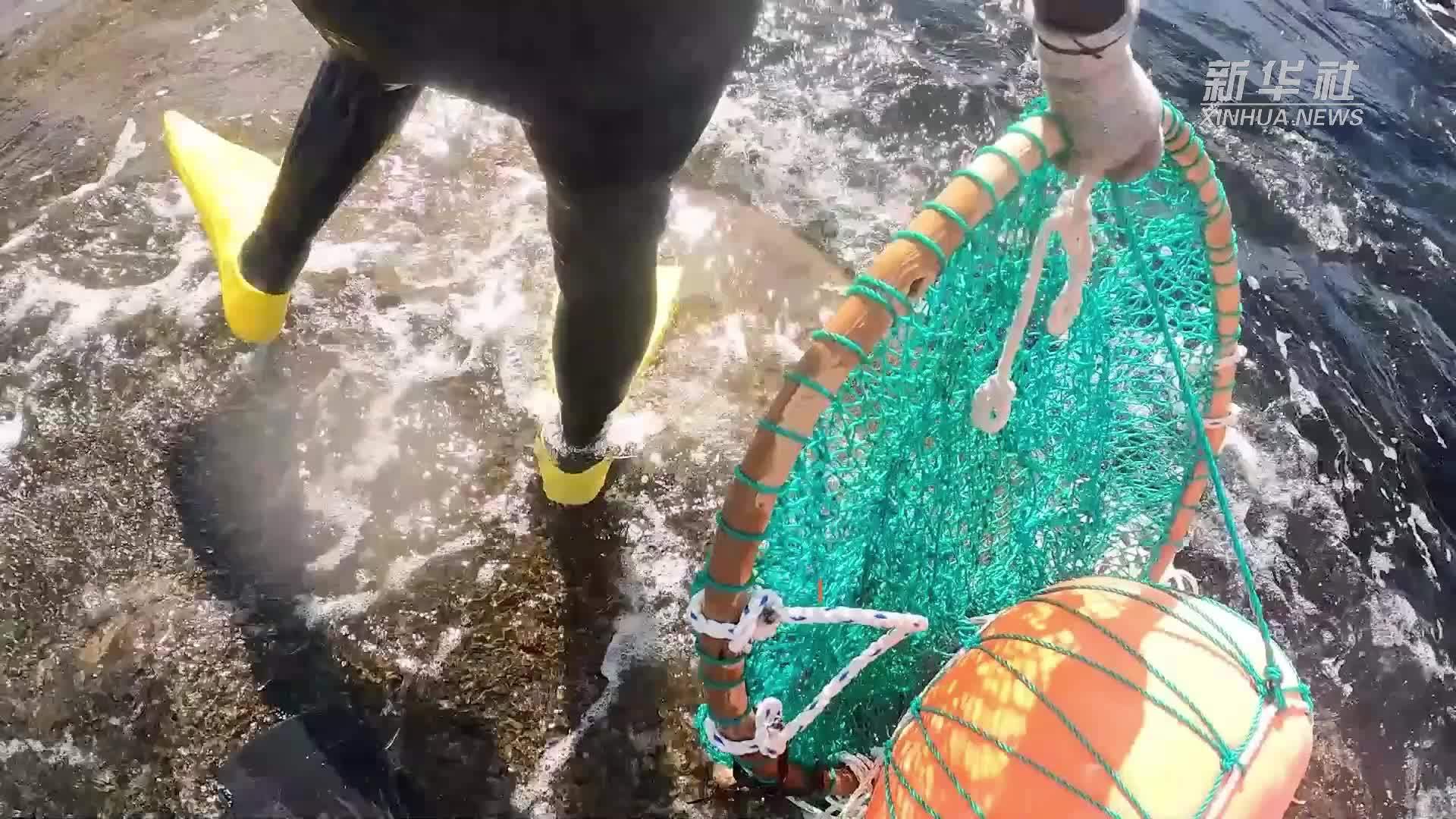 济州海女背后的故事