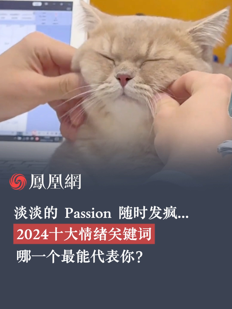 淡淡的、Passion、随时发疯…2024十大情绪关键词，哪一个最能代表你？#和2024好好告个别 #2024我们的故事  #2024最后一天 #情感 #人生感悟