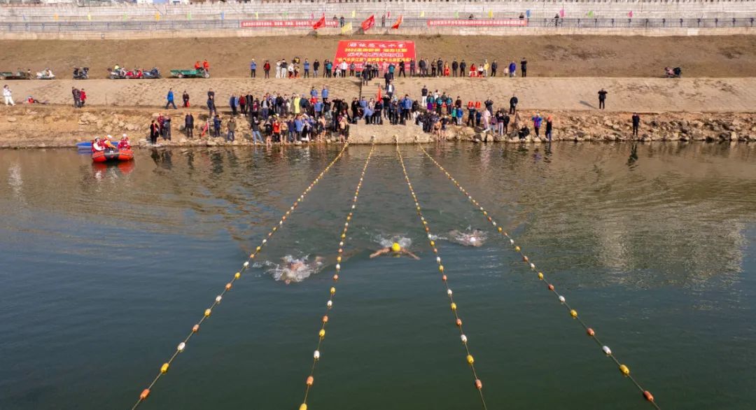 ▲冬泳比赛现场