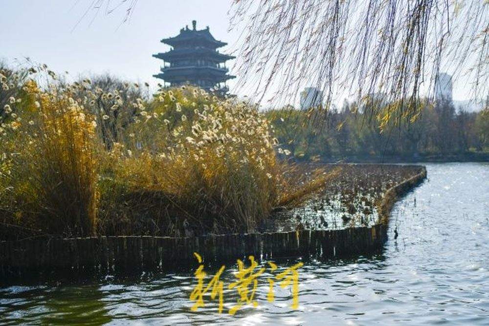 数九寒天持续低温 天空自带冷蓝滤镜