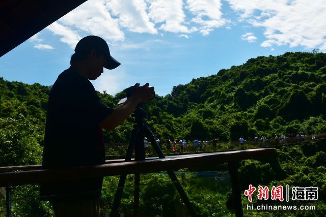 图为电影《非诚勿扰3》摄制组在三亚亚龙湾热带天堂森林旅游区过江龙索桥取景拍摄。黄庆优 摄