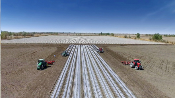 点击查看原始图片