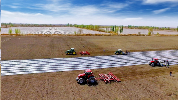 点击查看原始图片