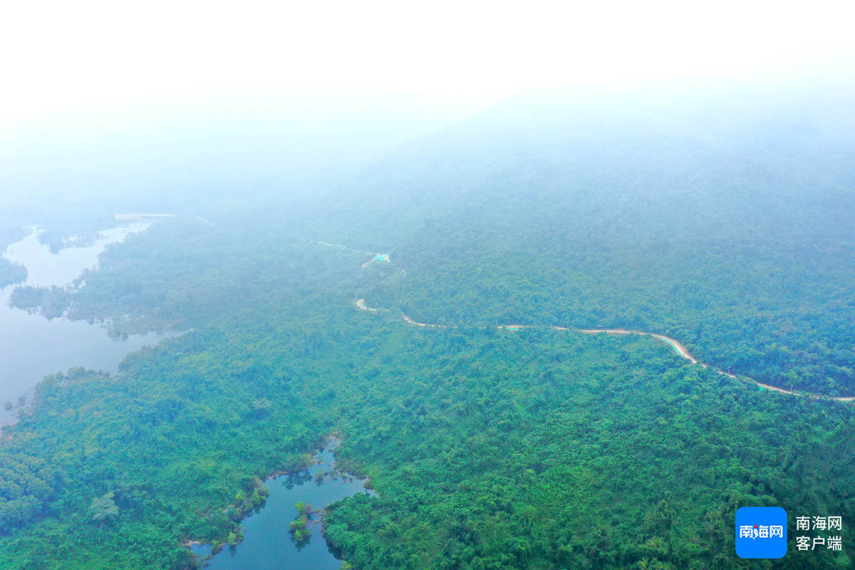 环热带雨林国家公园旅游公路松涛水库段。记者 汪承贤 摄