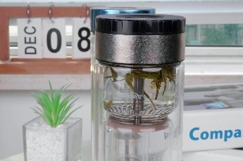 亚摩斯钛茶水分离玻璃杯 释放茶叶醇香原味