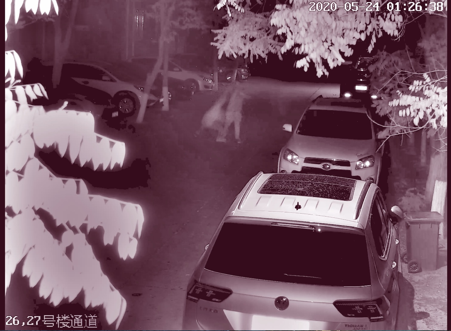 因抢手机，夏锐（化名）和陈某易发生冲突。监控视频截图