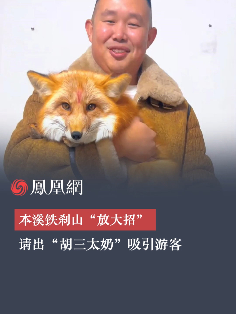 灵狐来了！本溪铁刹山请出火狐琥珀吸引游客前往，网友：这是我“胡三太奶”！#辽宁 #铁刹山 #灵狐 #火狐琥珀 #东北