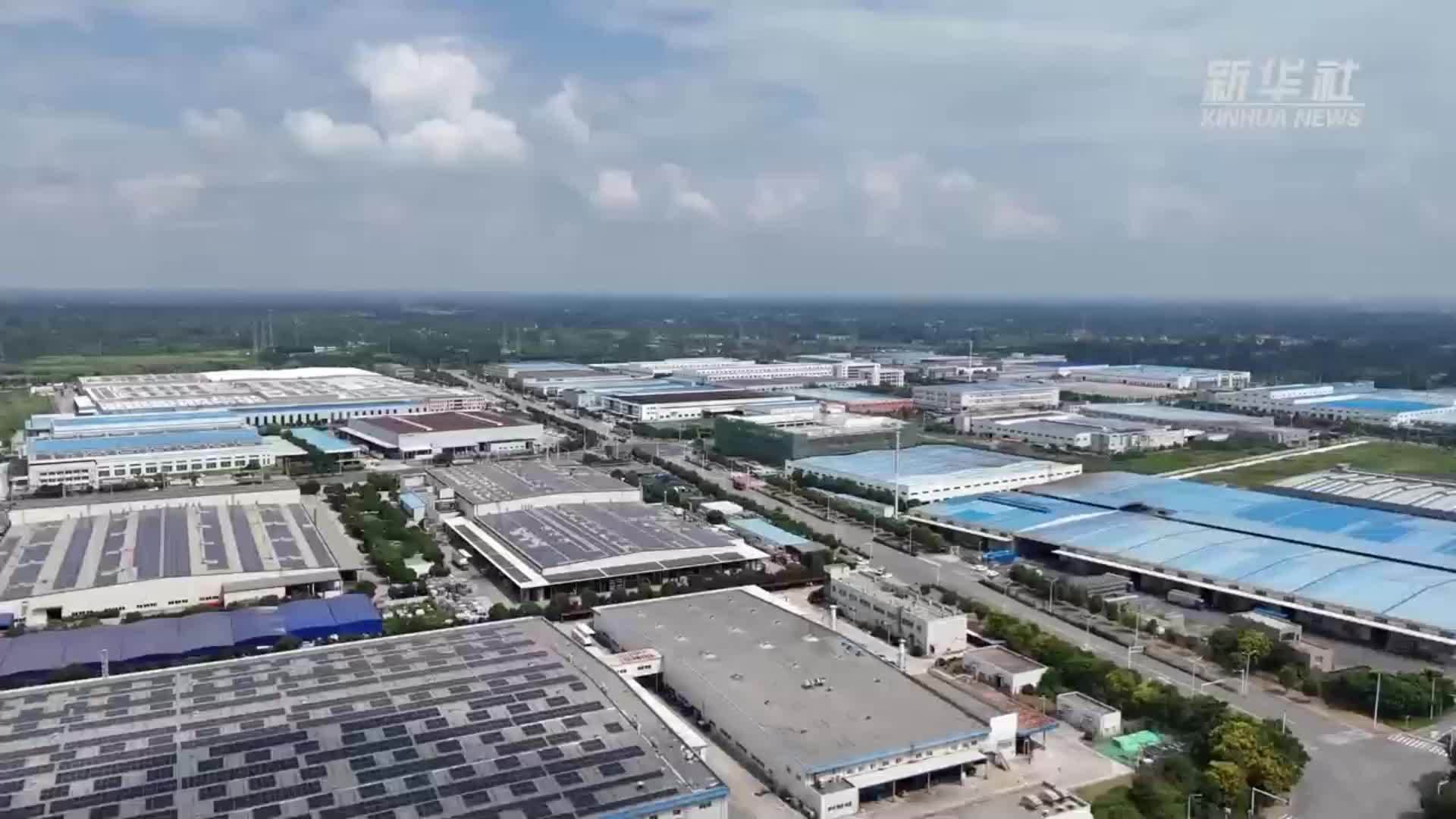 江苏仪征：党建赋能产业链 以学促干开新局