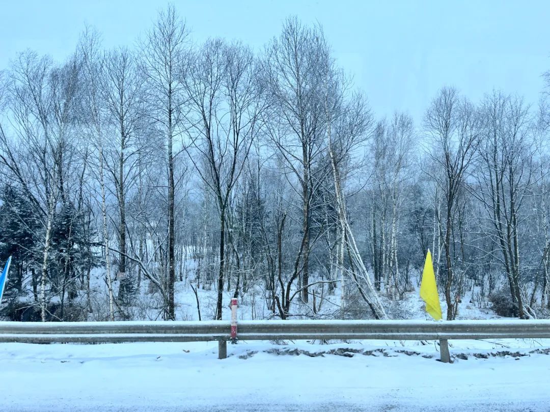 冬天的伊春覆盖上晶莹剔透的白雪。