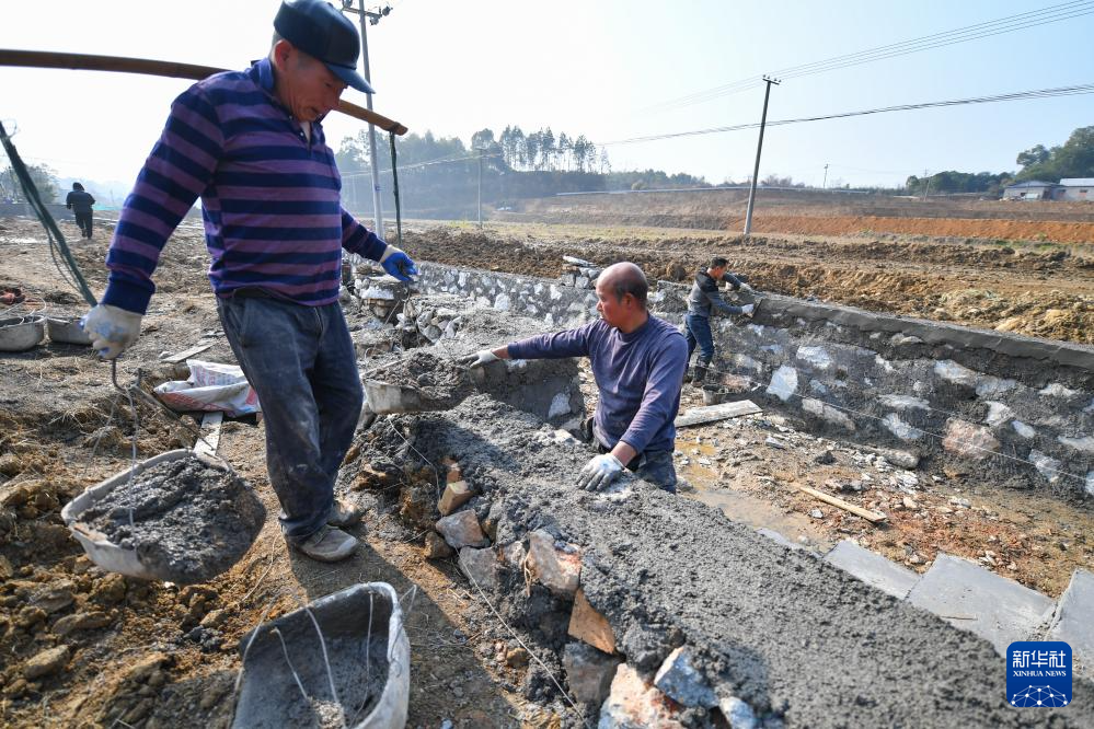 1月6日，在湘潭市雨湖区鹤岭镇双丰村，工人在进行高标准农田建设施工。