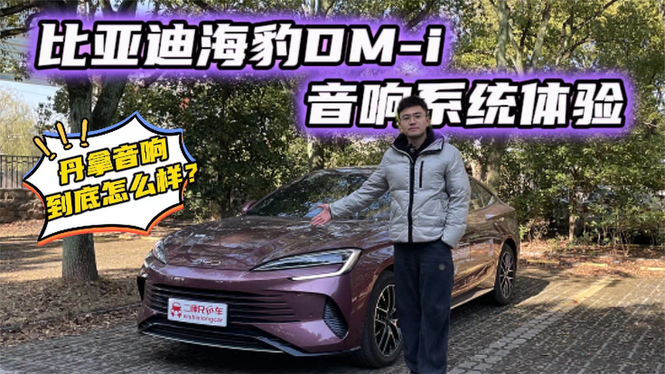 耳朵要怀孕？试听海豹DM-i HiFi级丹拿音响，真有说的那么好么？