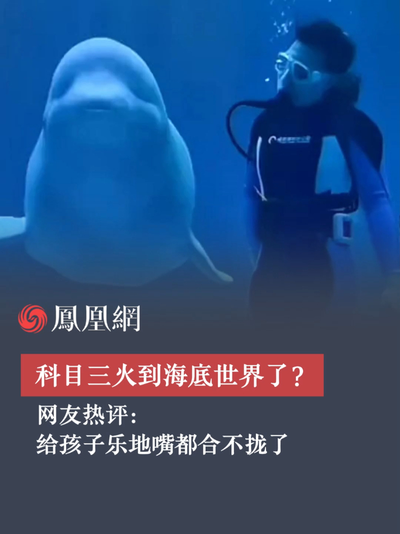 科目三火到海底世界了？网友：给孩子乐地嘴都合不拢了 #科目三 #白鲸 #哈尔滨