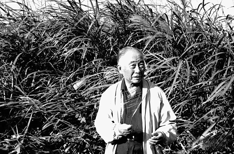 1991年,汪曾祺在家乡的芦苇荡