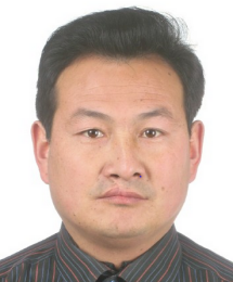 被执行人：张保山