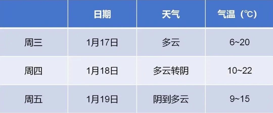 熬过明天气温飙升1月份22月湖梅花悄悄开了