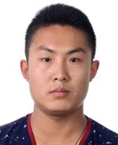 被执行人：王凯