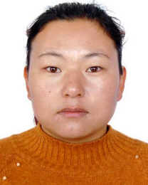 被执行人：魏居霞