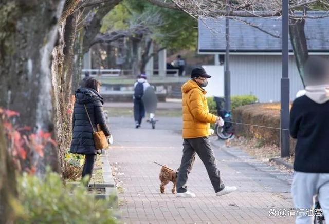 图片[11] - 三浦友和夫妇最新合照，64岁山口百惠真实状态曝光，二人恩爱如昔 - 网络动向论坛 - 吾爱微网