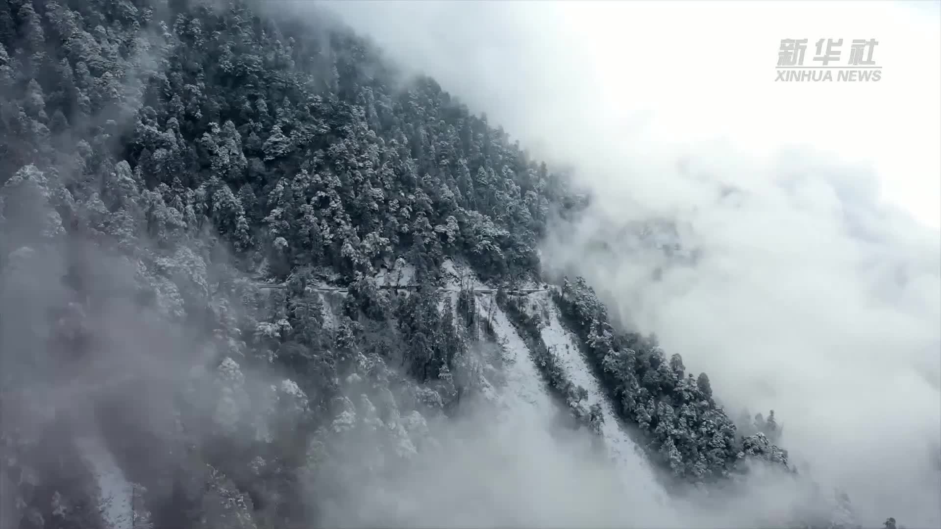 钢铁哨所——风雪丫口边境执勤点