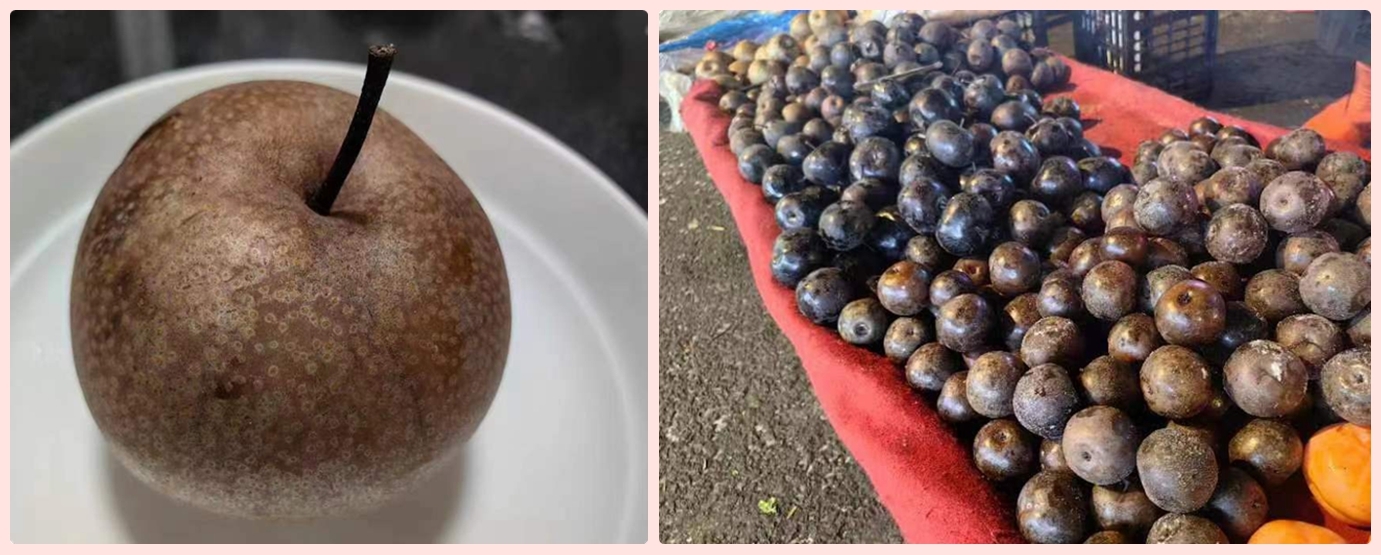 冻的程度不同，冻梨表皮的颜色深浅各异。李琴/摄