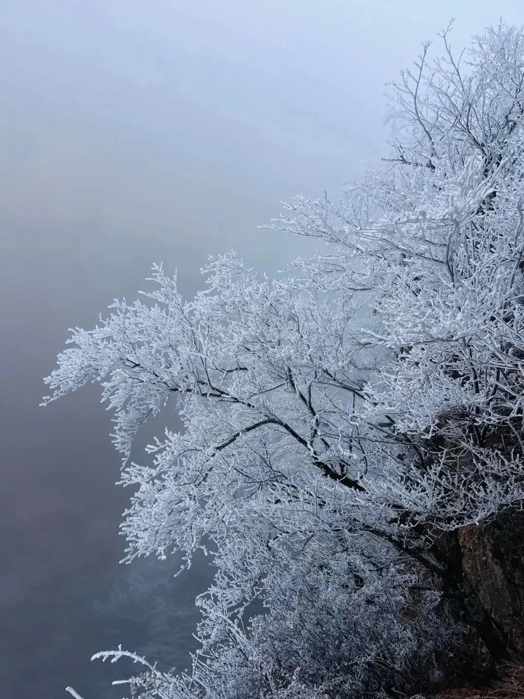 崆峒山雾凇景观