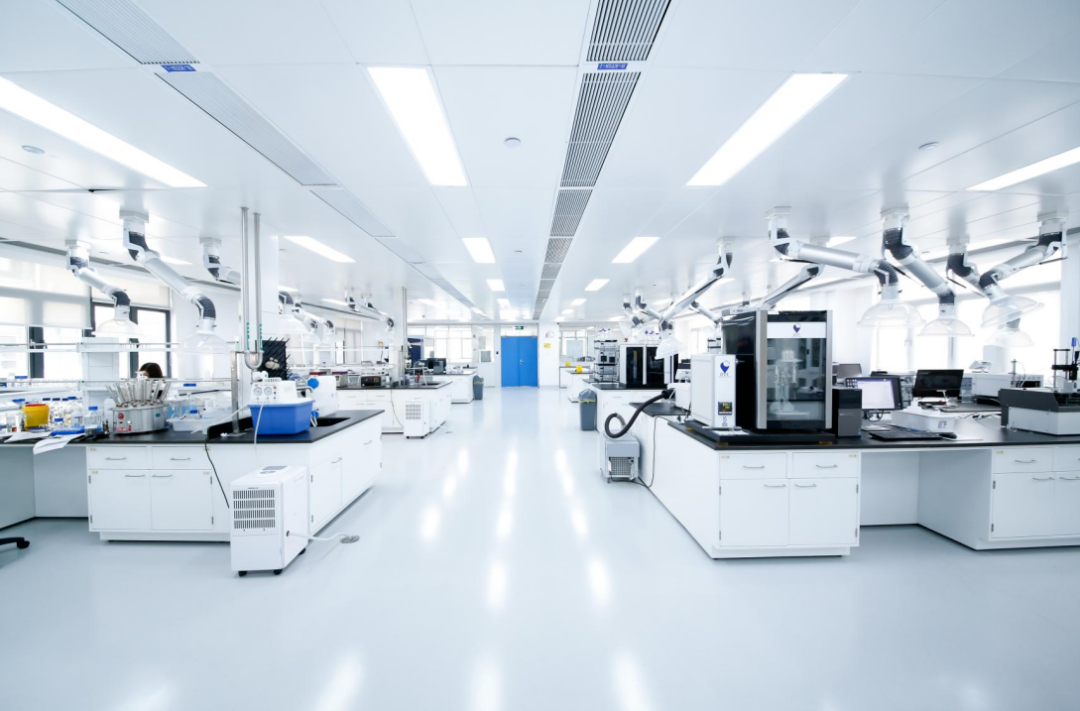 江苏连云港:绘就高质量发展版图 夯实后发先至基座