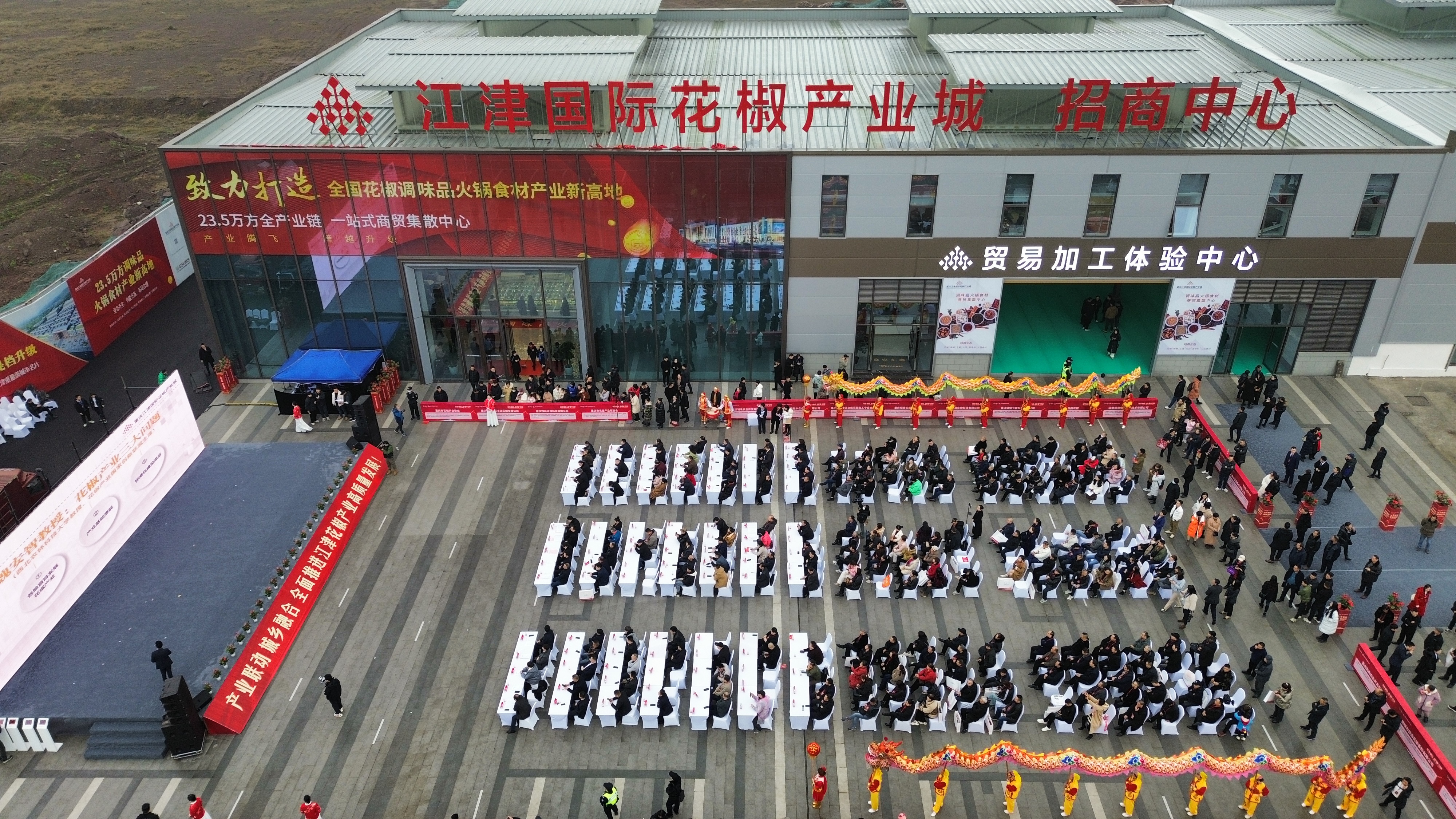 【津日椒点】“中国花椒之乡”江津冲当“第一强区”：打造全国花椒集散中心谋“百亿”大局