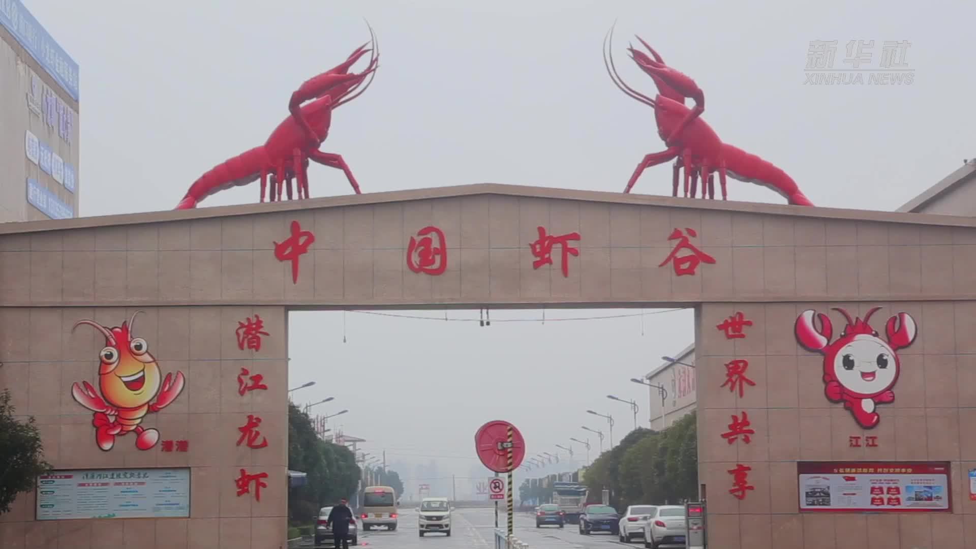 探访潜江“虾谷”：临近春节 龙虾走俏