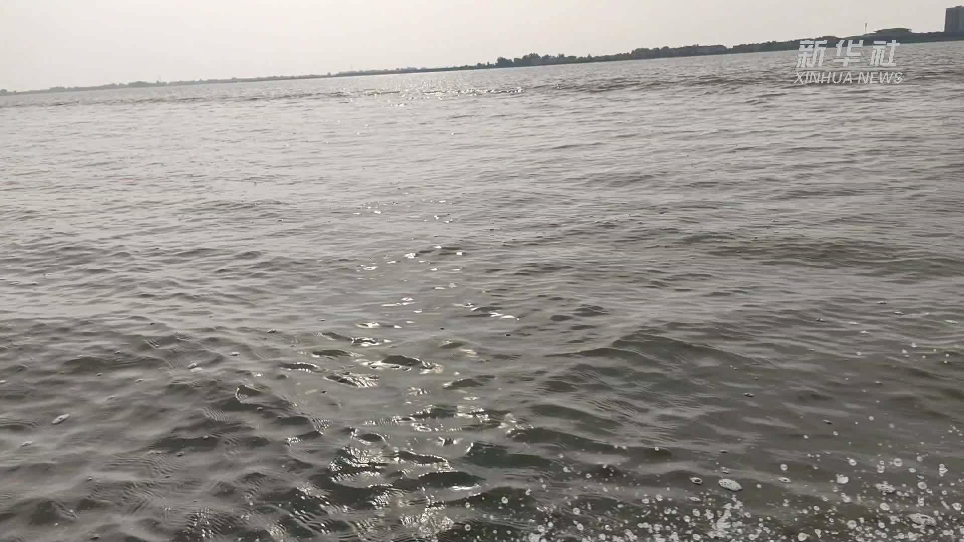 安徽颍上：鱼跃人欢好“丰”景