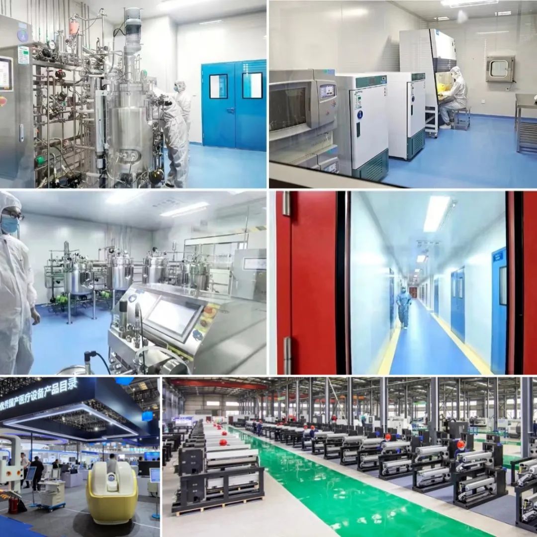 江苏连云港:绘就高质量发展版图 夯实后发先至基座