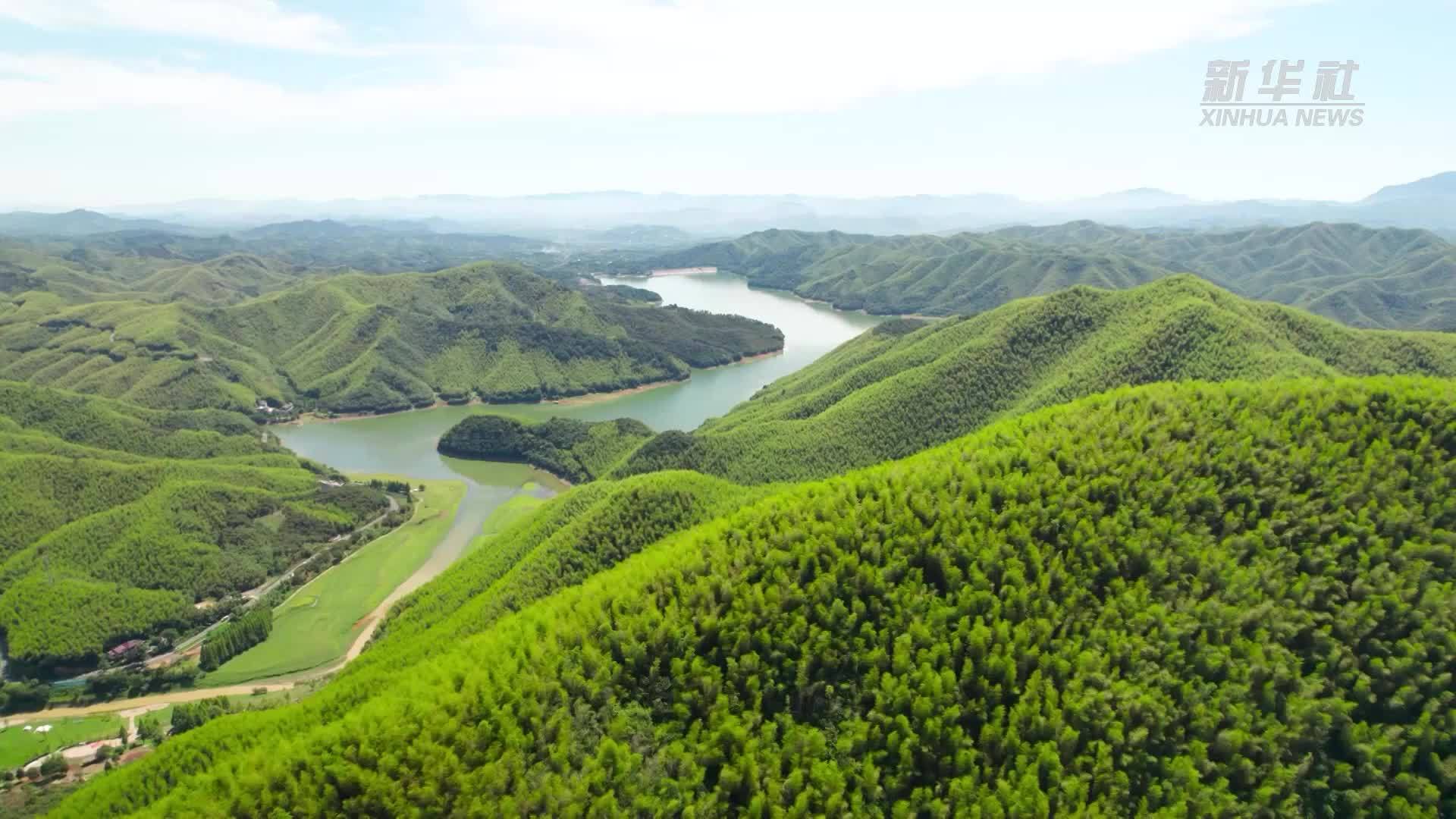 浙江湖州：绿色经济引领乡村振兴