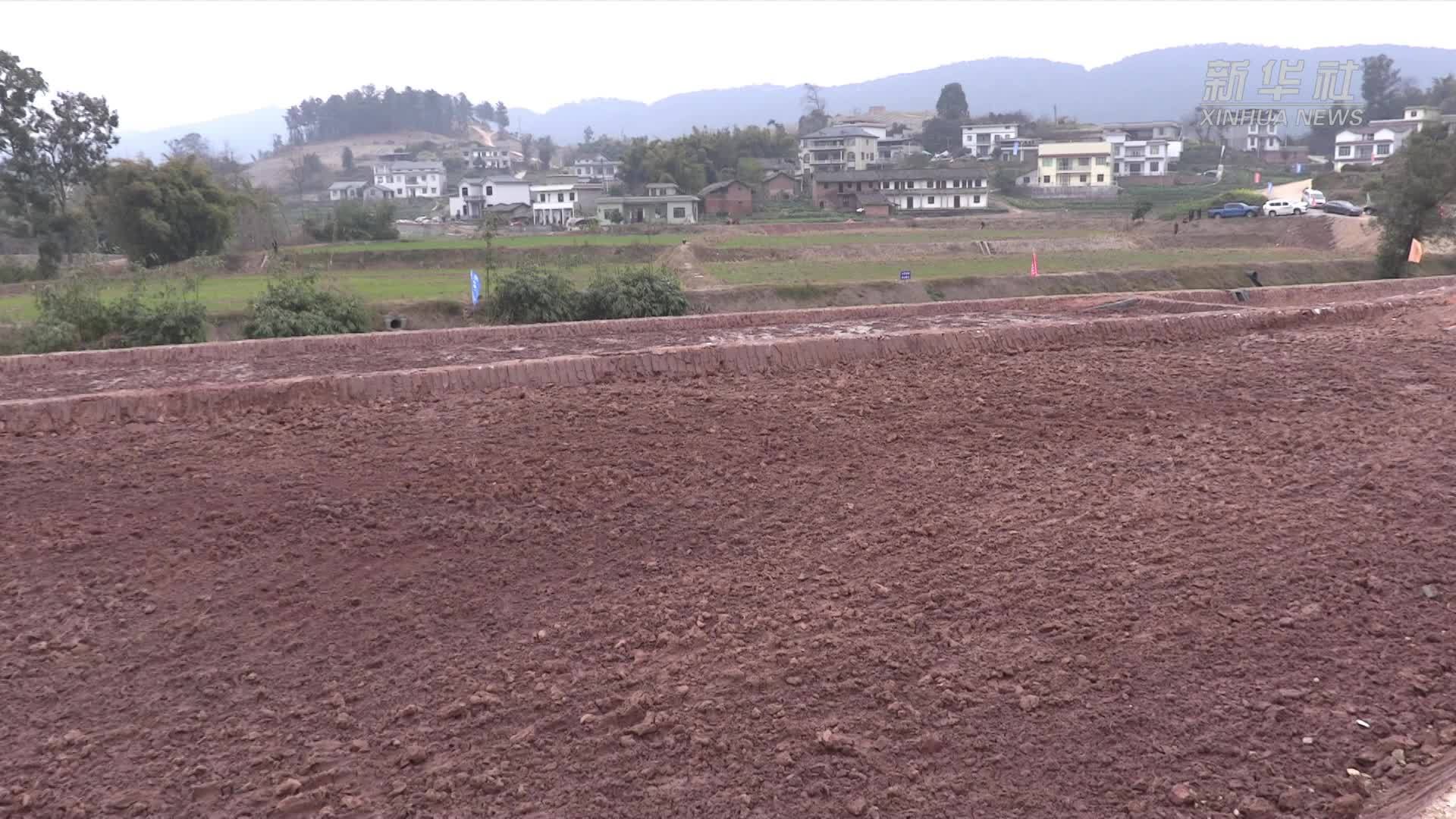 四川富顺：狠抓高标准农田 促一二三产融合