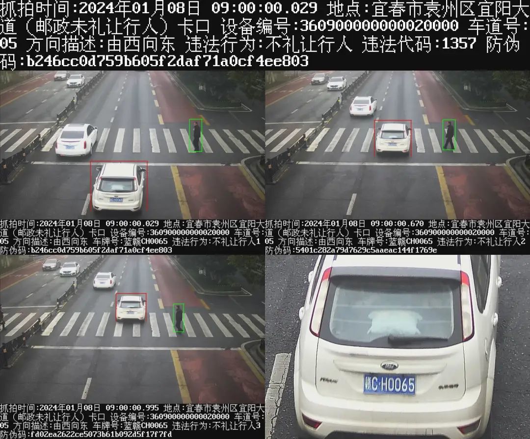 曝光！宜春这些车辆不礼让行人被抓拍