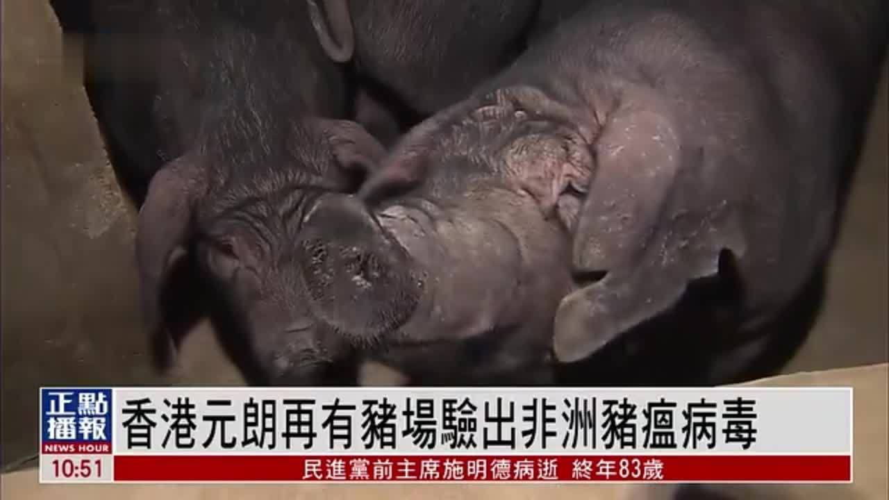 香港元朗再有猪场验出非洲猪瘟病毒