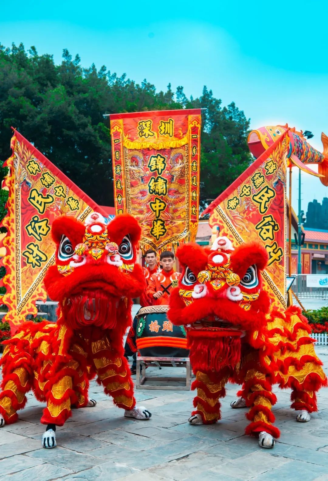 图片