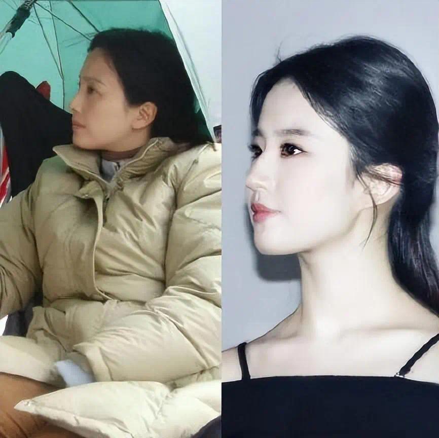 刘亦菲的妈妈刘晓莉：两婚两离，65岁依旧单身，长得比女儿还漂亮