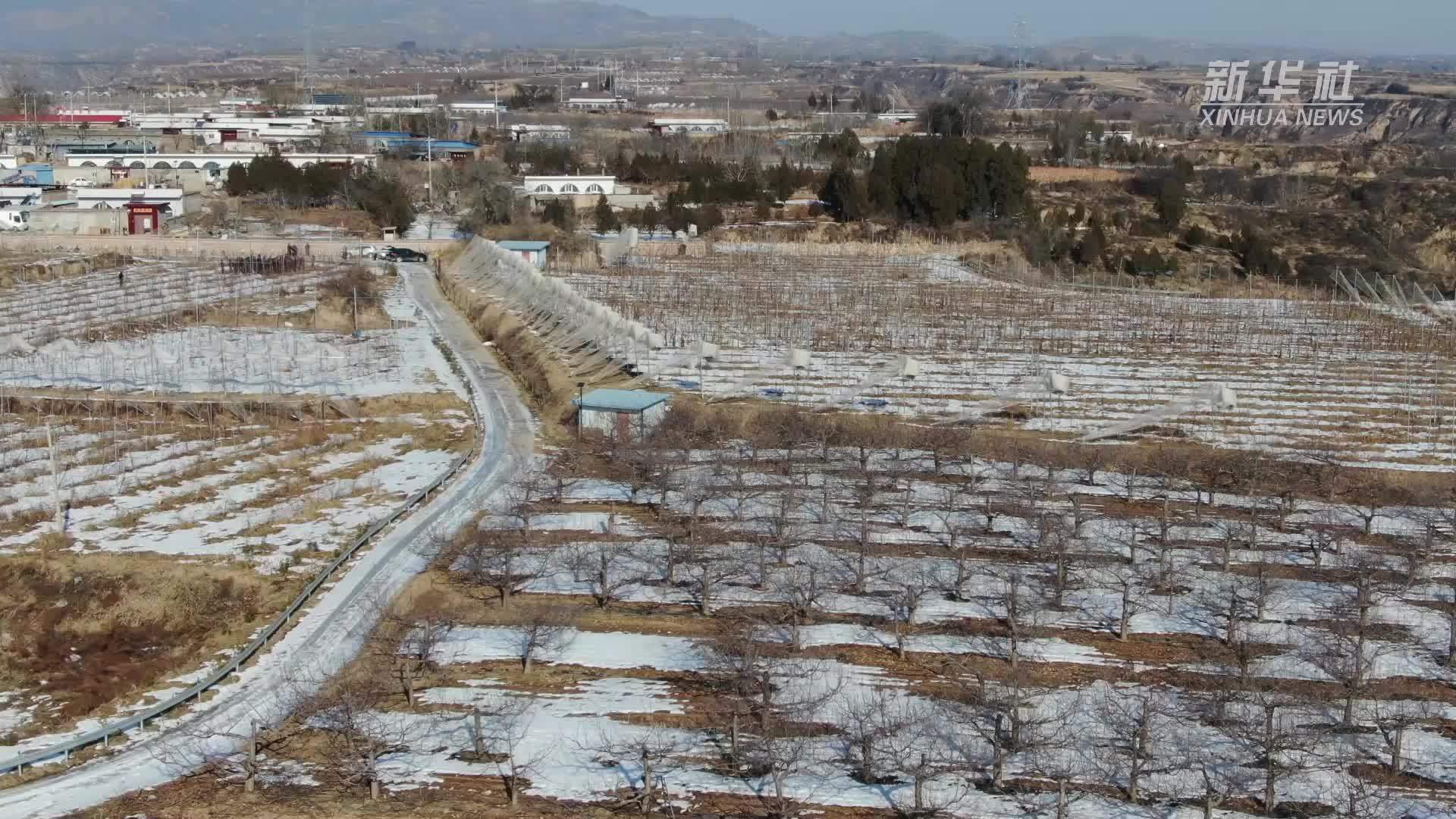 山西大宁恶性图片